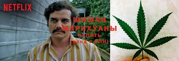 прущие крисы Няндома