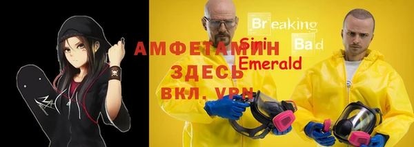 прущие крисы Няндома