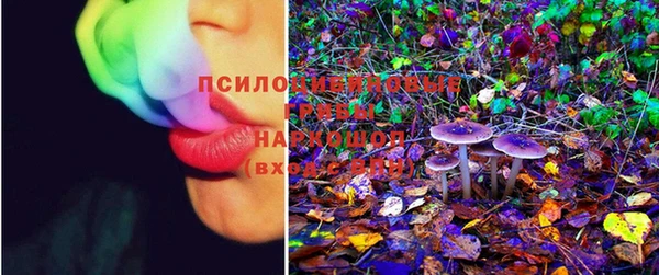 прущие крисы Няндома