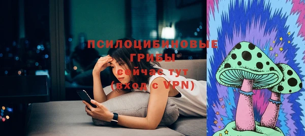 прущие крисы Няндома