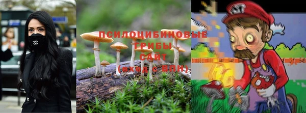 марки nbome Нязепетровск