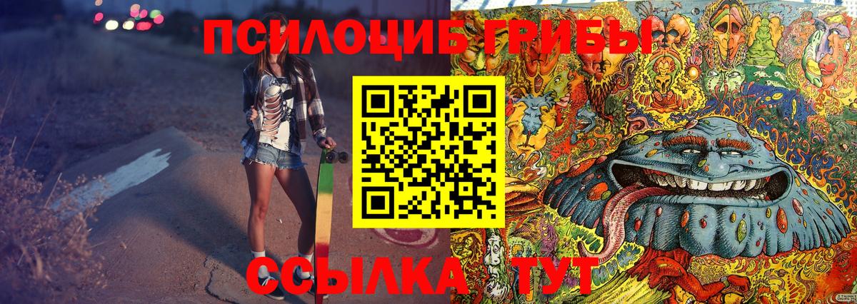 Псилоцибиновые грибы Psilocybine cubensis Павлово