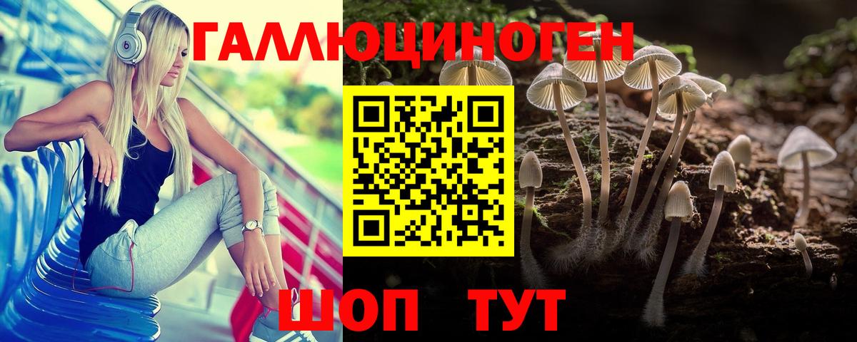 Псилоцибиновые грибы MAGIC MUSHROOMS  Вход с VPN  Павлово  Галлюциногенные грибы Psilocybine cubensis 